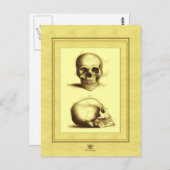 Twin Antique Skulls Postkarte (Vorne/Hinten)