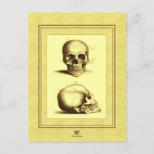 Twin Antique Skulls Postkarte (Vorderseite)