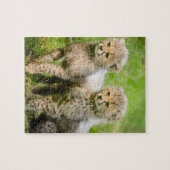 Twin Baby Cheetahs Puzzle (Horizontal)