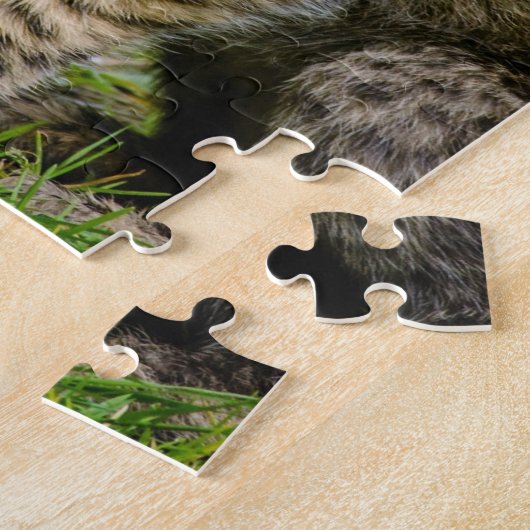 Twin Baby Cheetahs Puzzle (Seite)