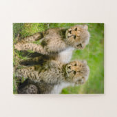 Twin Baby Cheetahs Puzzle (Horizontal)