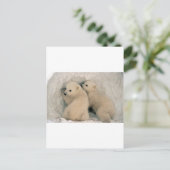 TWIN BABY POLAR BEARS POSTKARTE (Stehend Vorderseite)