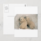 TWIN BABY POLAR BEARS POSTKARTE (Vorne/Hinten)
