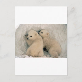 TWIN BABY POLAR BEARS POSTKARTE