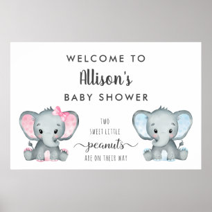 Twin Boy Girl Elephant Baby Dusche Willkommen Poster