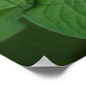 Twin Butterflies Canvas Print Poster (Ecke)