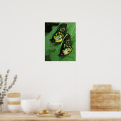 Twin Butterflies Canvas Print Poster (Küche)