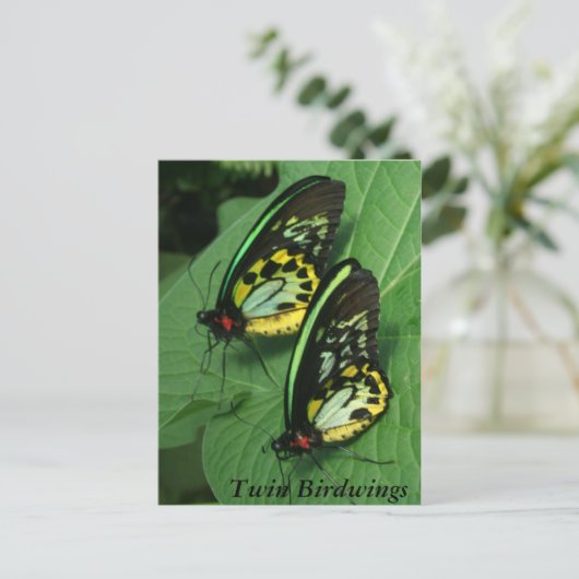 Twin Butterfly Postcard Postkarte (Stehend Vorderseite)