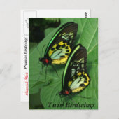 Twin Butterfly Postcard Postkarte (Vorne/Hinten)