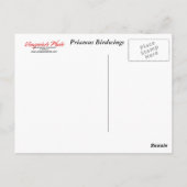 Twin Butterfly Postcard Postkarte (Rückseite)