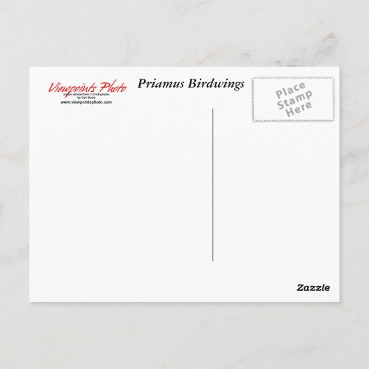 Twin Butterfly Postcard Postkarte (Rückseite)