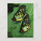 Twin Butterfly Postcard Postkarte (Vorderseite)