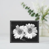Twin Daisies Postkarte (Stehend Vorderseite)