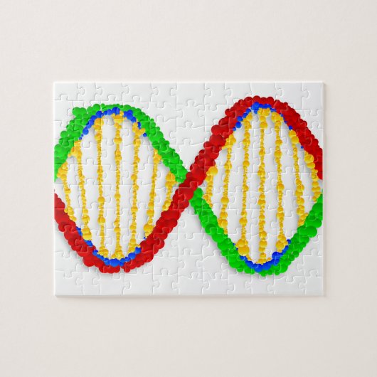 Twin DNA Strands Puzzle (Horizontal)