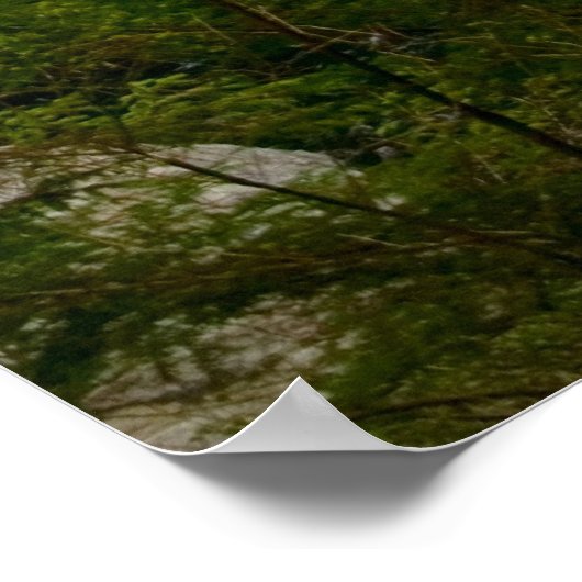 Twin Falls Print Poster (Ecke)