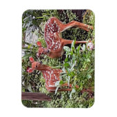 Twin Fawns Magnet (Vertikal)