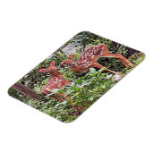 Twin Fawns Magnet (Linke Seite)