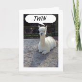 TWIN-LLAMA SAGT, KEINER HABE EIN BESSERES ZWEIMAL KARTE (Vorderseite)