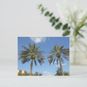 Twin Palm Trees Postkarte (Stehend Vorderseite)