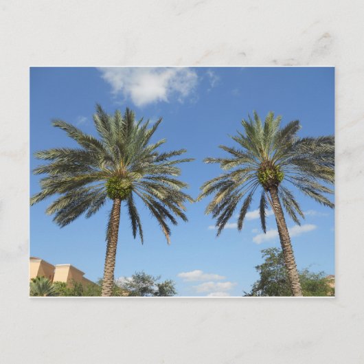Twin Palm Trees Postkarte (Vorderseite)