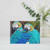 Twin Parrott Postkarte (Stehend Vorderseite)