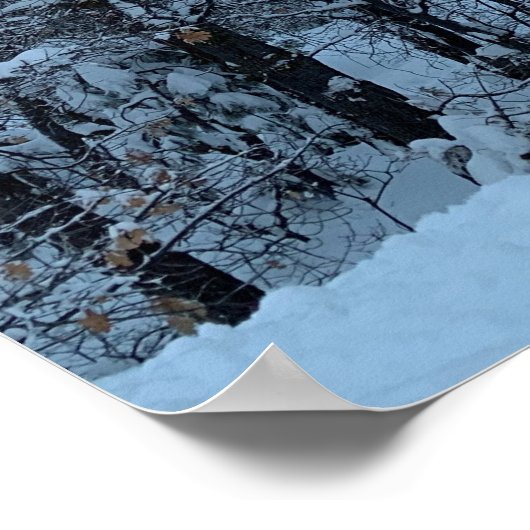 Twin Peaks Snowy Moon Poster (Ecke)