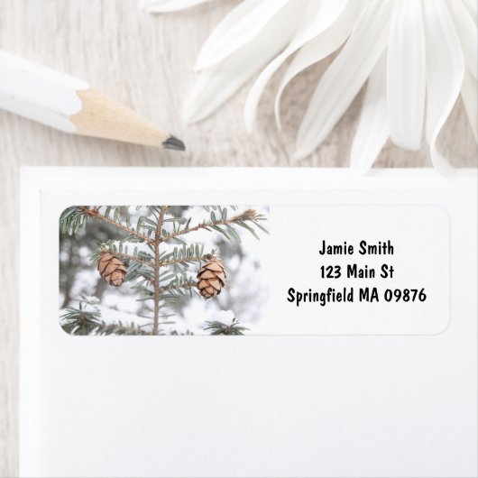 "Twin Pinecones" von MDG-Adressbüchern (Insitu)