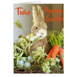 ****TWIN**** SCHÄTZEN SIE SICH ***HAPPTER EASTER**