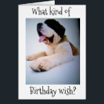 **TWIN** ST. BERNARD SENDS "HUGE" BIRTHDAY WISHES<br><div class="desc">He is ready to say ***HAPPY BIRTHDAY WISHES TO YOUR TWIN** in an *EXTREMELY HUGE** way AND he is so CUTE too!!!!</div>