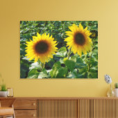Twin Sunblumen Wrapped Canvas Print Leinwanddruck (Insitu (Wohnzimmer))