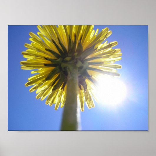 Twin Suns Poster (Vorne)