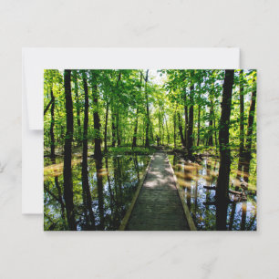 Twin Swamps Natuerpark, Posey Landkreis, Indiana Postkarte