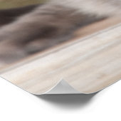 Twin Tabbies Chillin' Poster (Ecke)