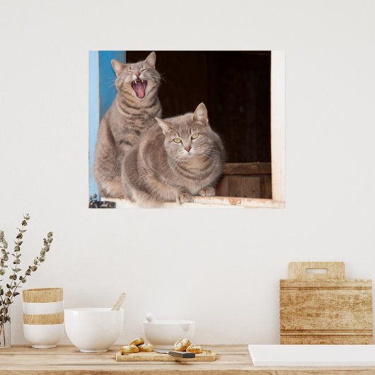 Twin Tabbies Poster (Küche)
