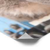 Twin Tabbies Poster (Ecke)