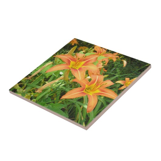 Twin Tiger Lilie Fliese (Seite)