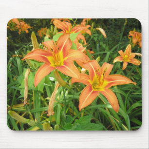 Twin Tiger Lilies Mousepad
