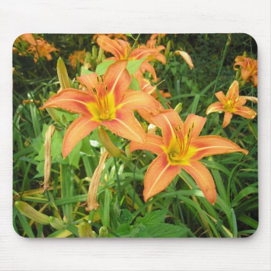 Twin Tiger Lilies Mousepad (Vorne)