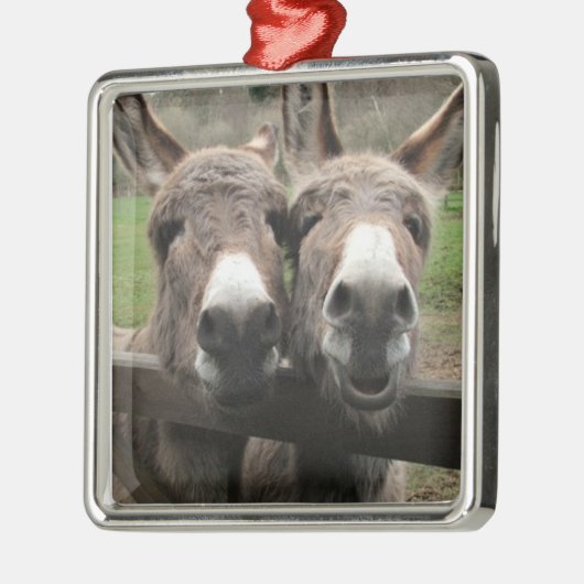 ****TWIN-TONKEY-PAIR**** ORNAMENT (Links)