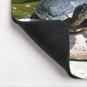 Twin Turtles - Mousepad (Ecke)