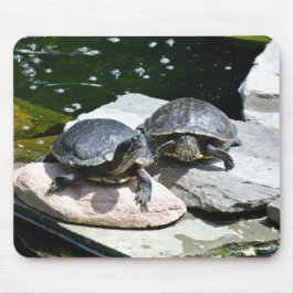 Twin Turtles - Mousepad