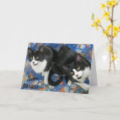 Twin Tuxedo Kittens Geburtstagskarte Karte (Gelbe Blume)