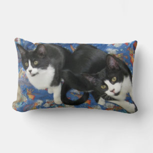 Twin Tuxedo Kittens Throw Kissen Kissen