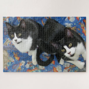 Twin Tuxedo Kitties Puzzle