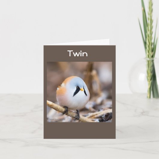 **TWIN** TWEETEND HAPPY BIRTHDAY CARD KARTE (Vorderseite)