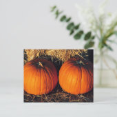 Twin Vintag Pumpkins Postkarte (Stehend Vorderseite)