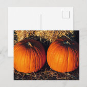 Twin Vintag Pumpkins Postkarte (Vorne/Hinten)