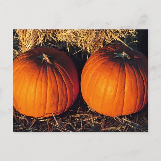 Twin Vintag Pumpkins Postkarte (Vorderseite)