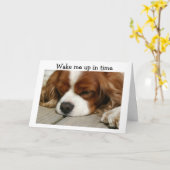 ***TWIN*** WECK MIR Pünktlich AUF" GEBURTSTAG GREE Karte (Gelbe Blume)