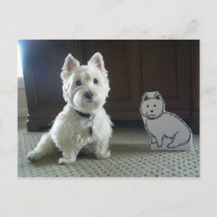 Twin Westies Foto Postkarte